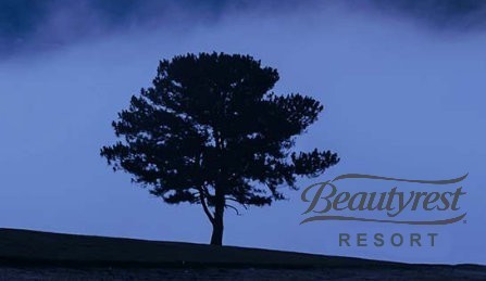 Beautyrest resort 2